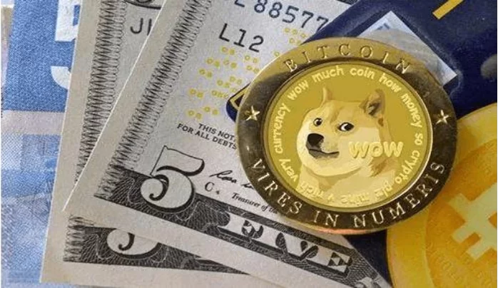 SHIB币和狗狗币哪个好？深入分析两大模因币的独特特点与投资潜力