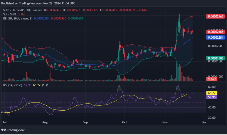 如果发生这种情况，SHIB 可能上涨超过 50%插图2